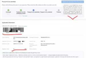 Chinese-visa-passport-to-be-submitted-page-screenshot